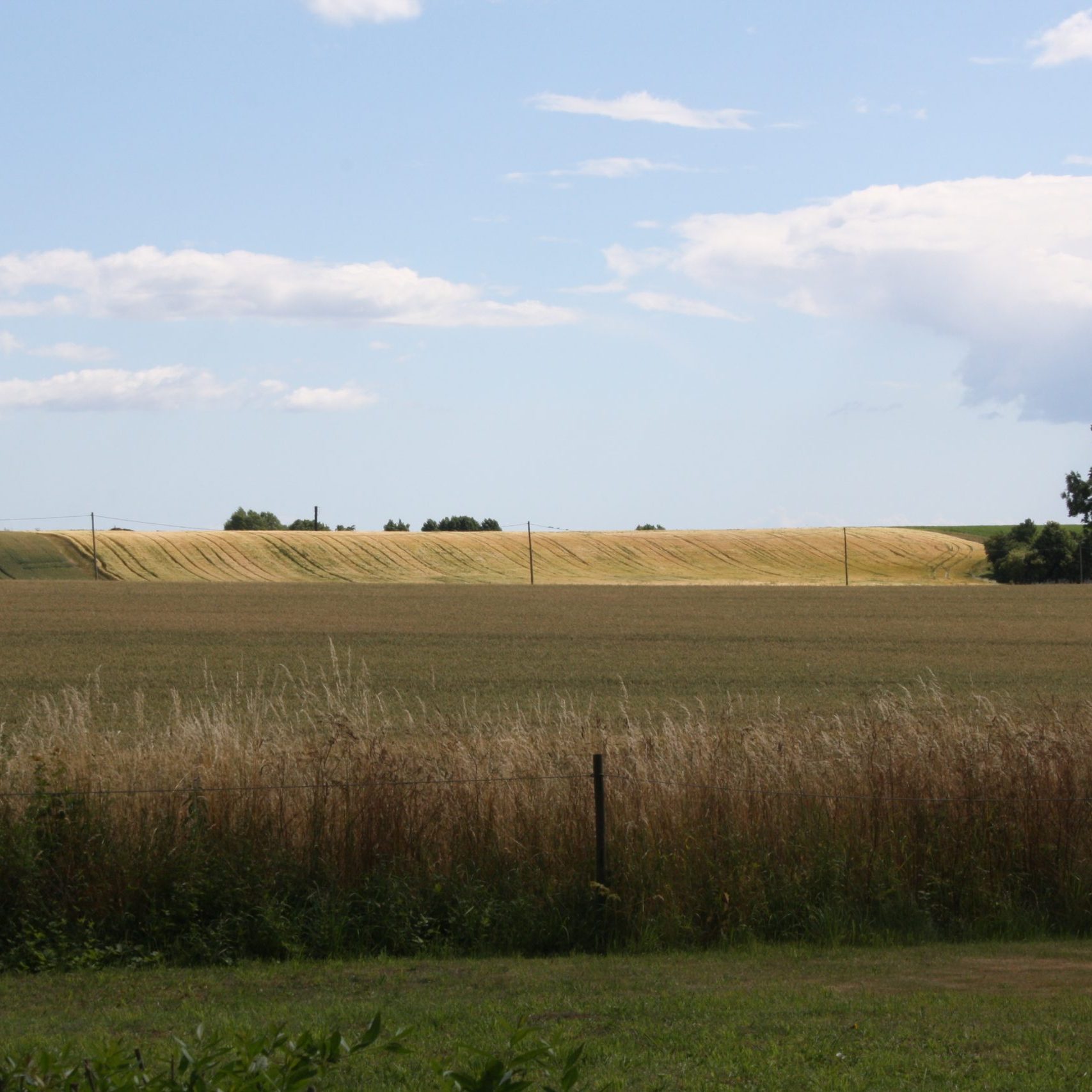 Utsikt över fälten från Grindstugan